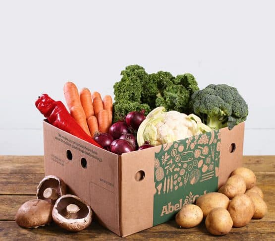 Corrugated Packaging – The Sustainable Future for FMCG & Agro Industries